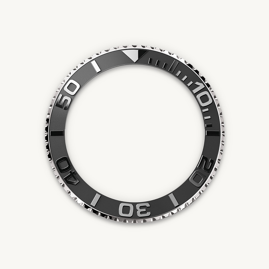 Bidirectional Rotatable Bezel