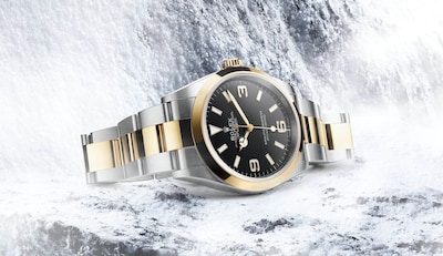 The Watches of Your Dreams by Stephen Watson image